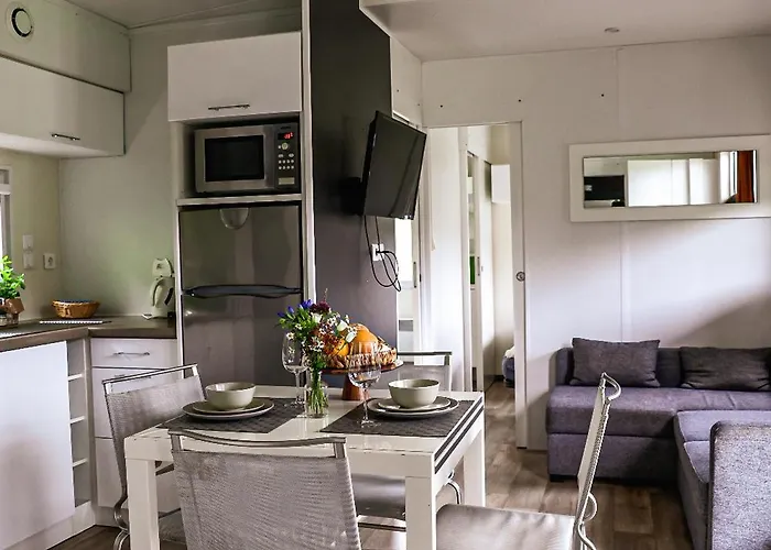 キャンピング カウル * ウイルツ