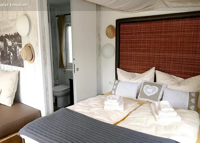 キャンピング カウル ウイルツ